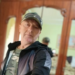 , 48, 