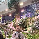 ���� �����, ������, 55 ��� - ��������� 8 ������ 2025 � ������ ���� ����������