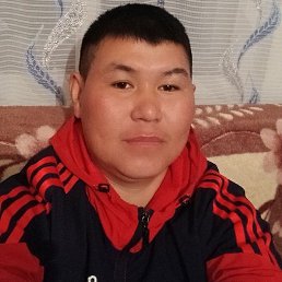 , 33, 