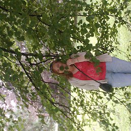 Фото Светлана, Санкт-Петербург, 44 года - добавлено 24 июля 2025