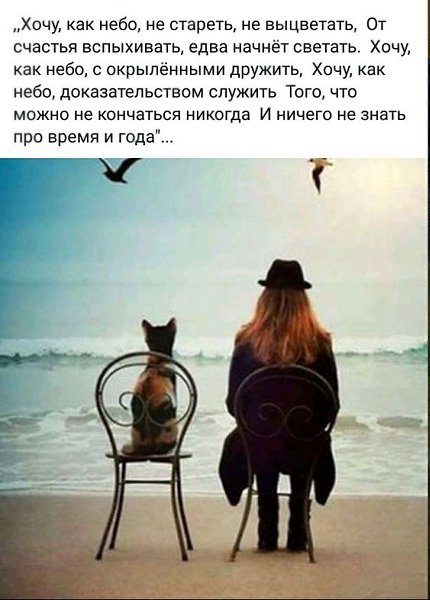   - 28  2024  07:47