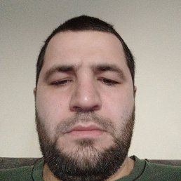 ������, ���������, 31 ���