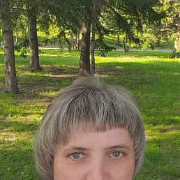 , 41, 
