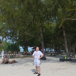 ���������, �����, 40 ���