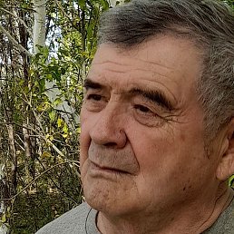 ����, ������, 71 ���