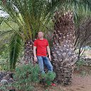 ���� ���������, ������, 40 ��� - ��������� 11 ����� 2026