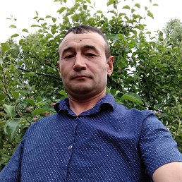 , 43, 