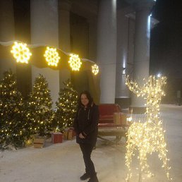 , 29, 