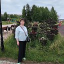 ���� �������, ����������, 44 ���� - ��������� 3 ���� 2024 � ������ ���� ����������