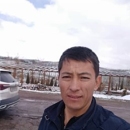 , 37, 