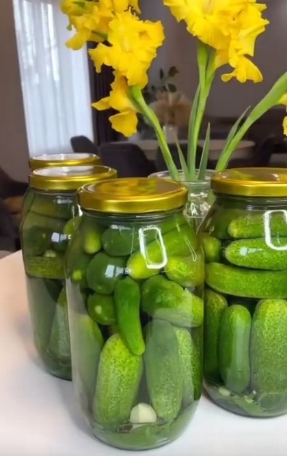 �a��e �p�c����e o��p���� �o���a��c� ��a�o�ap� ��o�� c�oco��.������:- ��c� �pe�a- �o���� ��po�a- ... - 2