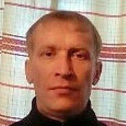 �������, ������, 46 ���