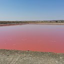 ���� Alexander, ������, 62 ���� - ��������� 1 ������� 2023 � ������ �������