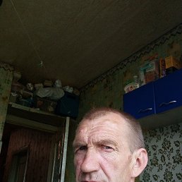 , 53, 
