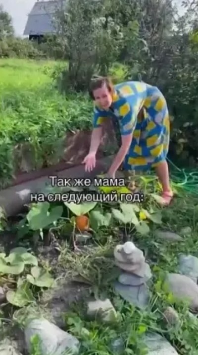 � ������ ��� ���� � ����