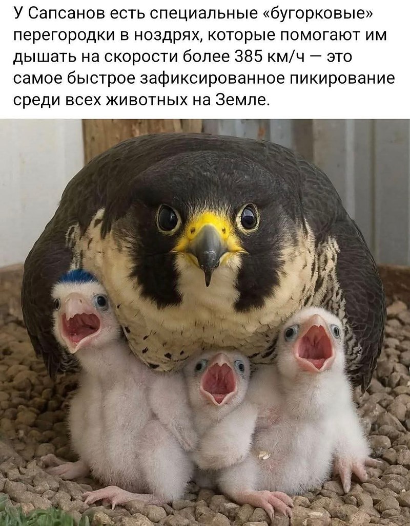 :)