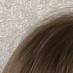 �����, ��������, 48 ���