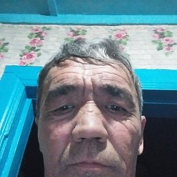 , 50, 