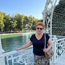 ���� �������, ������ - ��������� 27 ������� 2026