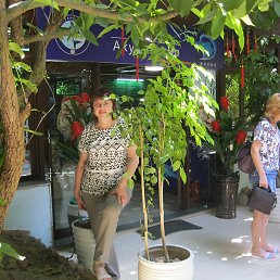 �����, ����������, 63 ����