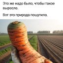  ,  -  27  2024    