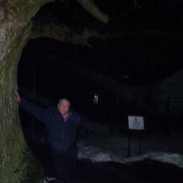 �������, ���������, 48 ���