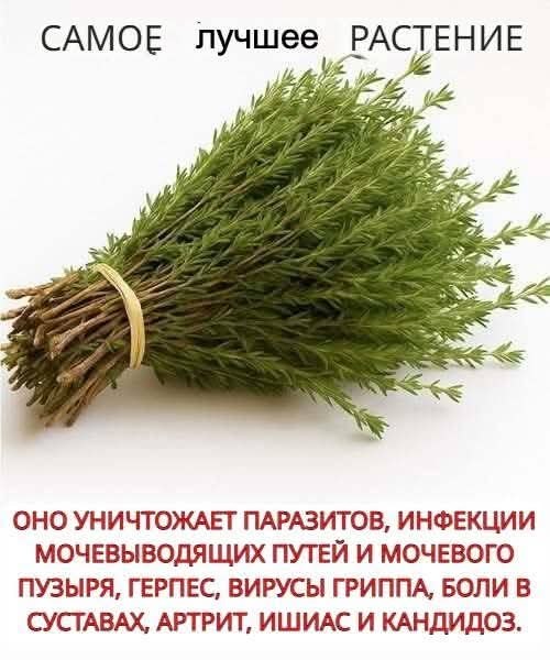 :)      ,    ,   .  ...