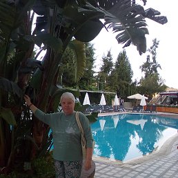 ���� �������, ������������, 71 ��� - ��������� 5 ������ 2024