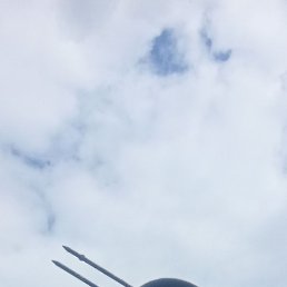 , 51, 