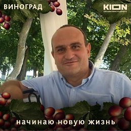 ���� Ashot, ������, 43 ���� - ��������� 23 ������� 2026