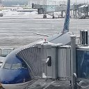 ���� $��������$, �������, 43 ���� - ��������� 22 ������ 2026 � ������ ������ �������� ���