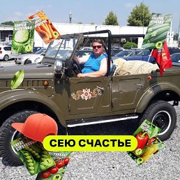 ������, ����������, 51 ���