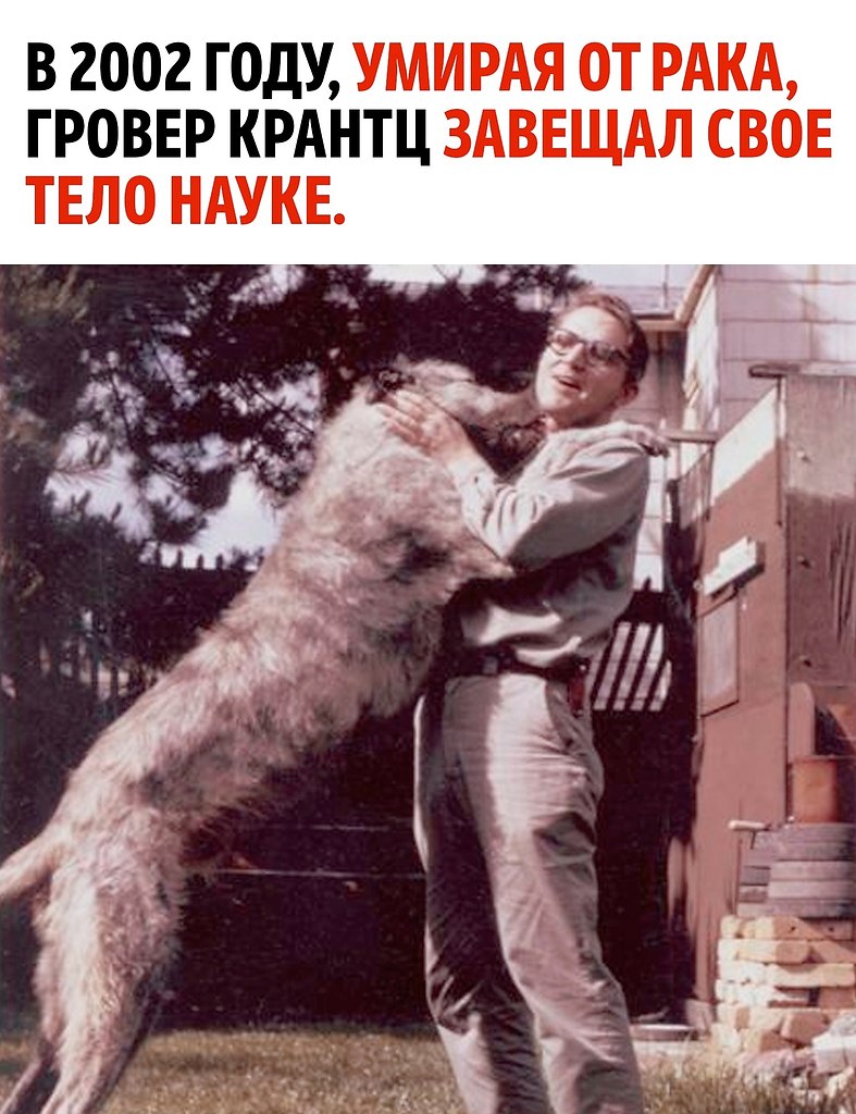 �� ��� ������� ����� ��������