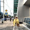 ���� ��������, ���������, 66 ��� - ��������� 1 ���� 2025 � ������ ���� ����������