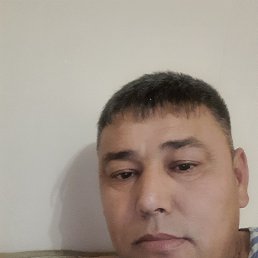 , 40, 