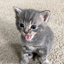 ���� ���, ������, 23 ���� - ��������� 30 ���� 2024 � ������ ���� ����������