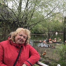 �����, ������, 64 ����