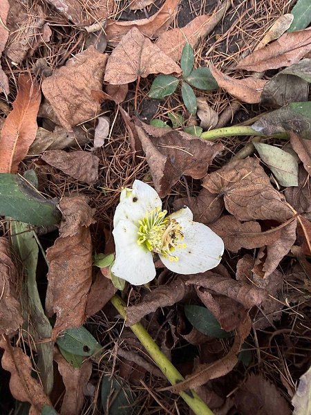 � ������������ ������� ������������ ����������� ��-�� ��������� ����� ������.����: ���������� ...