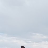 , 46 , 