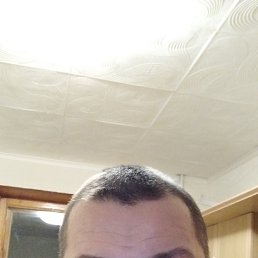 ������, 41 ���, ���������