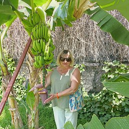 , 57, 