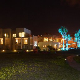 Grif, �����������, 26 ���