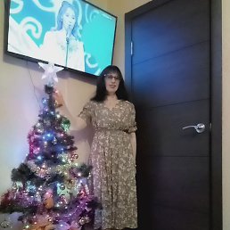 ���� �����, ���������, 66 ��� - ��������� 21 ���� 2026
