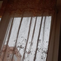 ���� ���, ������, 34 ���� - ��������� 24 ������� 2023