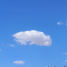 ���� Shuxrat, �����������, 38 ��� - ��������� 31 ������� 2023