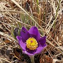 ���� �������, ������, 52 ���� - ��������� 5 ���� 2025 � ������ ���� ����������