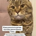 ���� ����, ��������� - ��������� 13 ������ 2026 � ������ ������ ��������