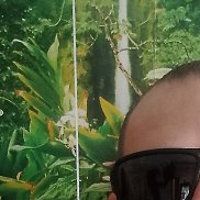 �������, 42 ����, ������