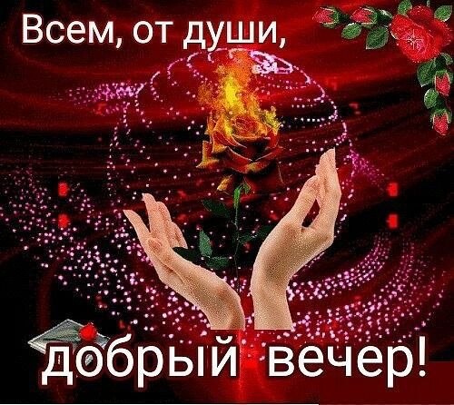 ���� - ����