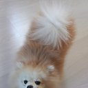 ���� �����, ������, 40 ��� - ��������� 20 ������� 2024